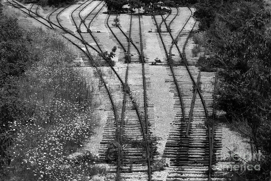 End Of The Line In Monotone Photograph