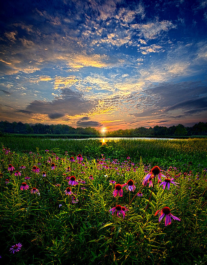 End of the Night Photograph by Phil Koch
