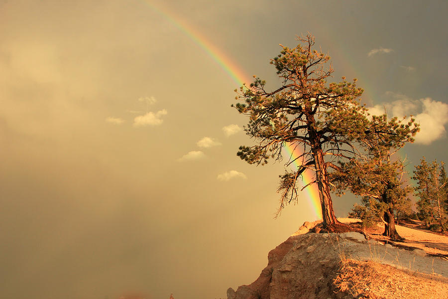 Bryce Canyon National Park Photograph - End of the rainbow. by Wasatch Light
