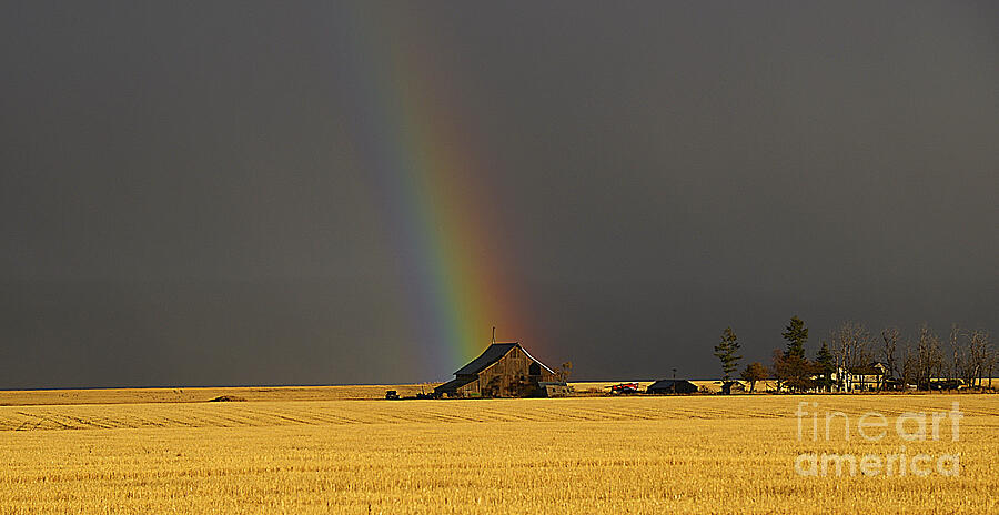 Vintage Rainbow Photography