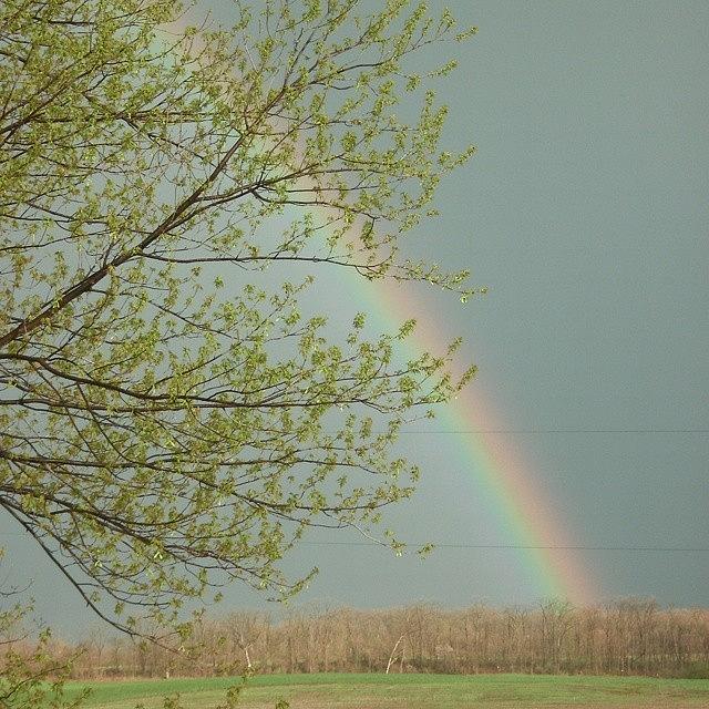 Tree Photograph - End Of The Rainbow by Rebekah Martin