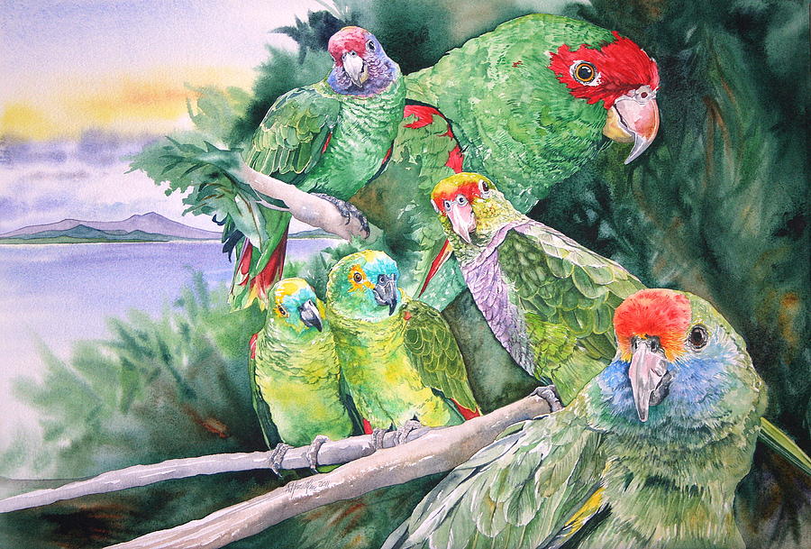 Bird Painting - Endangered Parrots of the Atlantic Forest by Kitty Harvill
