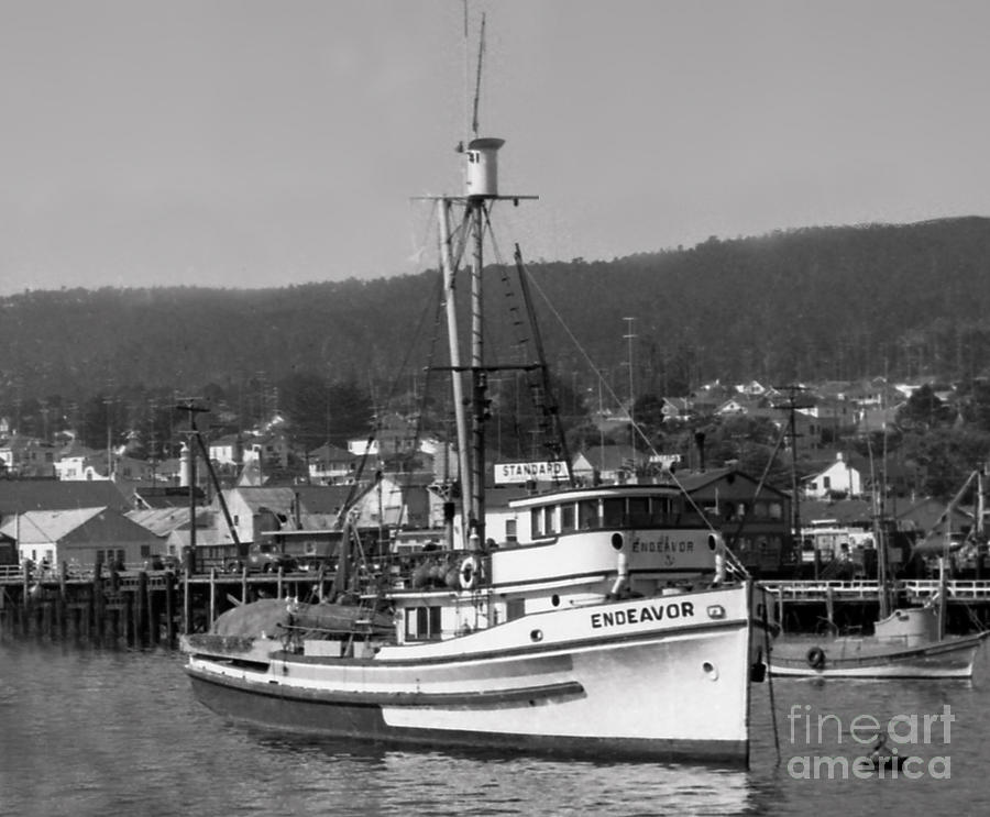 Boat Photograph - Endenavor Purse seiners California circa 1940 by Monterey County Historical Society