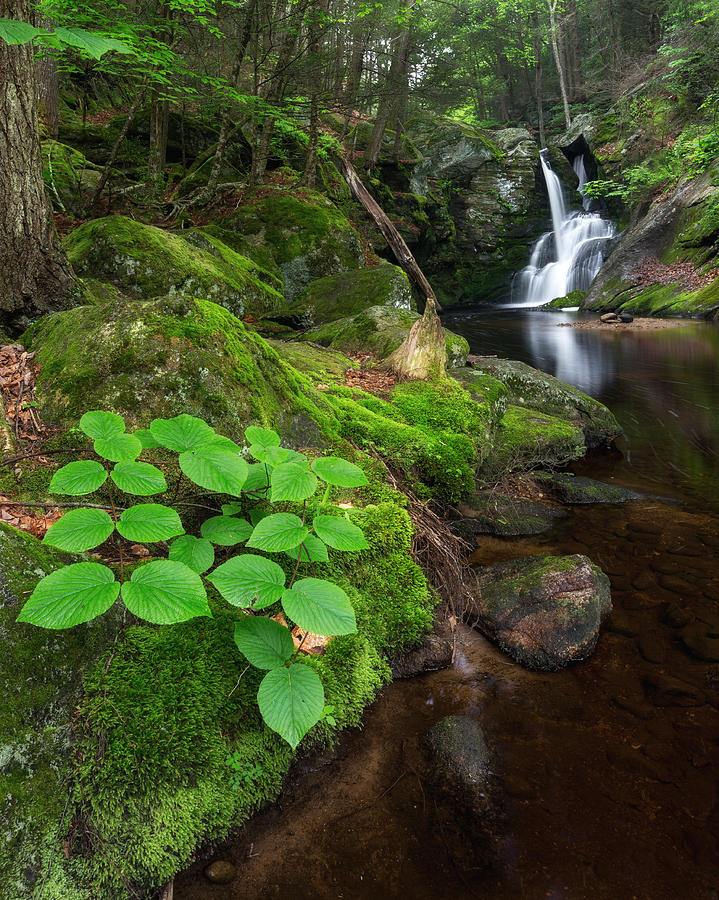Waterfall Photograph - Enders Falls Green by Bill Wakeley