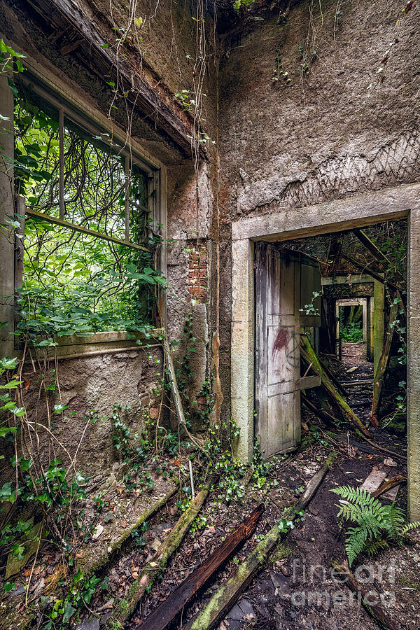 Endless Decay Photograph by Adrian Evans