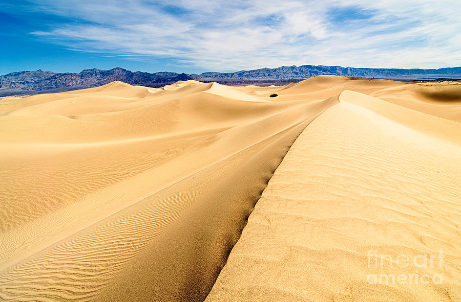 National Parks Photograph - Endless Dunes - Panoramic view of sand dunes in Death Valley National Park by Jamie Pham