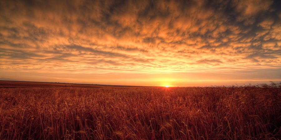 Sunset Photograph - Endless Oz by Thomas Zimmerman