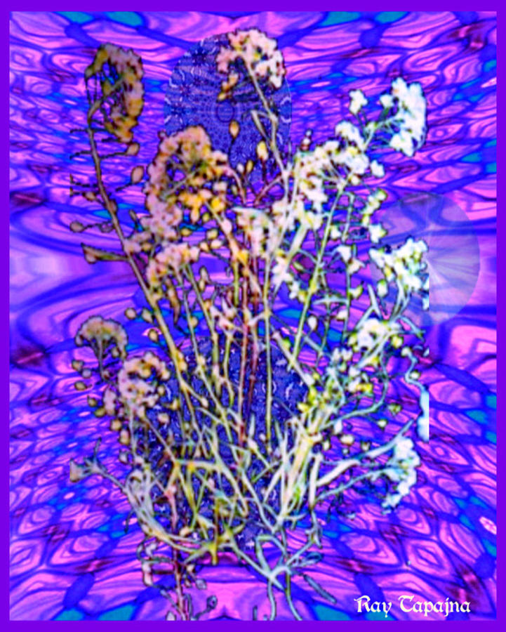 Renditions Digital Art - Endless Possibilities by Ray Tapajna Renditions Digital Art - Endless Possibilities by Ray Tapajna