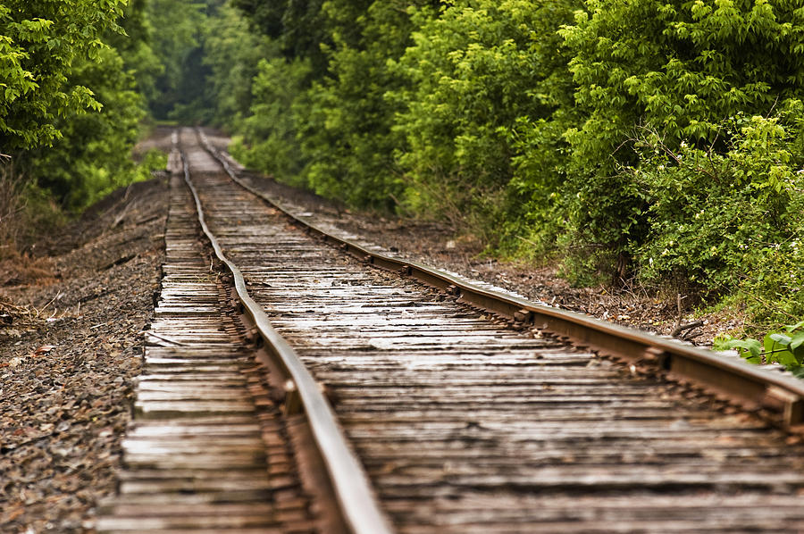 Endless Railroad Photograph by Robert Culver