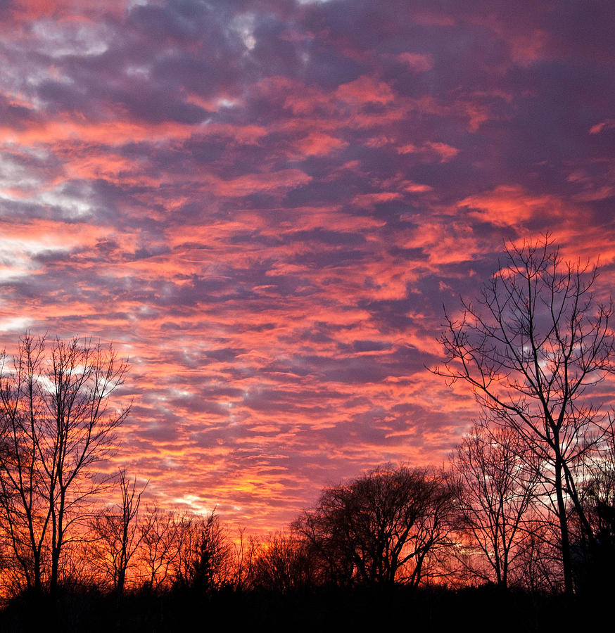 Endless Sunset Photograph by Deana Wagner - Fine Art America