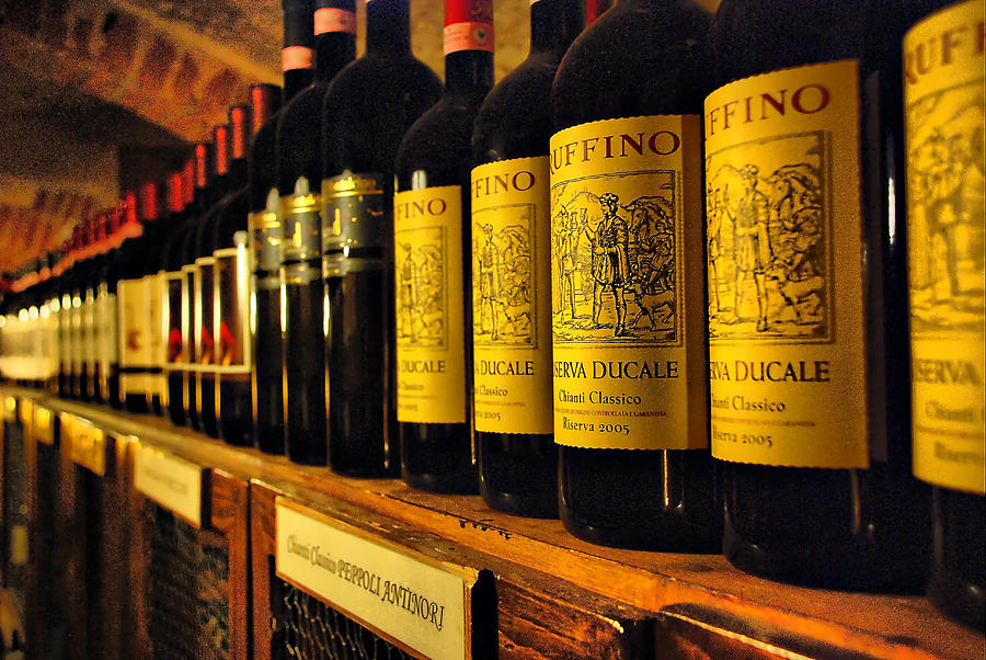 Endless world of Italian wines Photograph by Andrei SKY