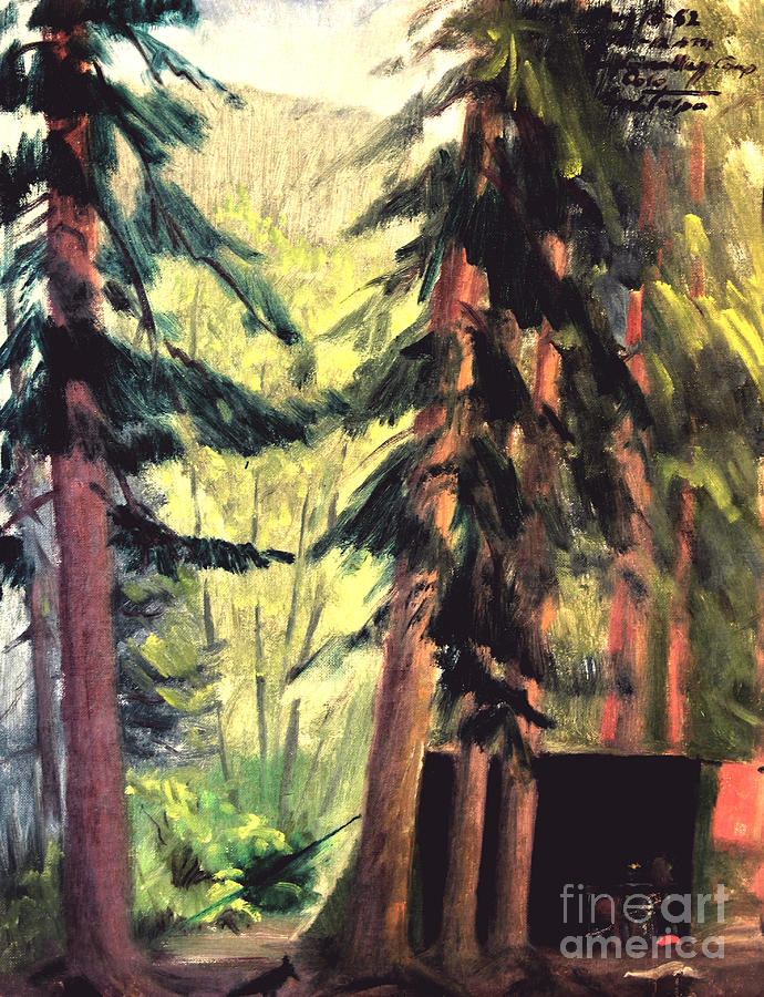 Endo Valley Campground Painting by Art By Tolpo Collection