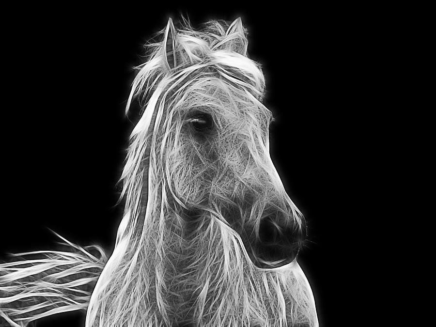 Horse Photograph - Energetic White Horse by Joachim G Pinkawa