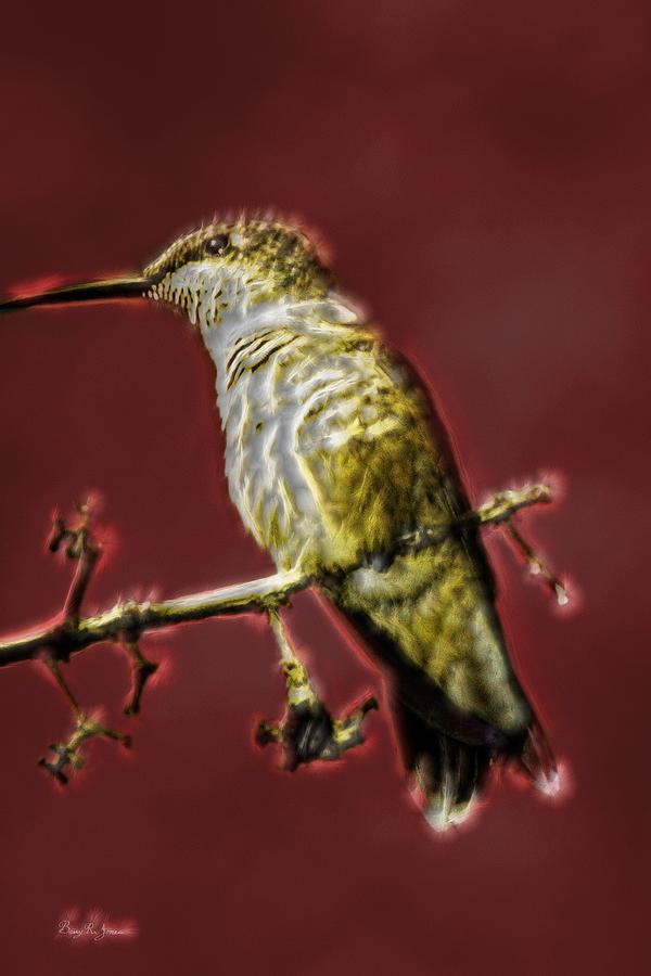 Hummingbird - Surreal - Energy at Rest Photograph by Barry Jones