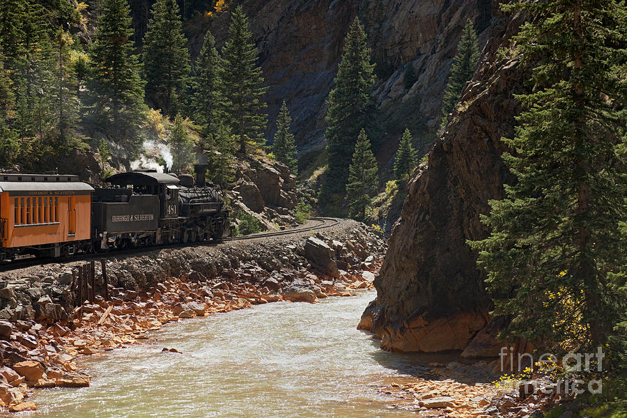 Engine 481 by the Animas River on the Durango and Silverton Narrow Gauge Railroad Photograph by Fred Stearns