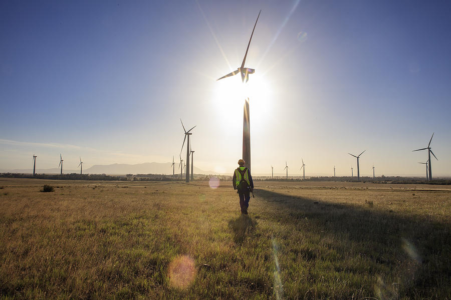 Engineer walking on a wind farm at sunset Photograph by Westend61