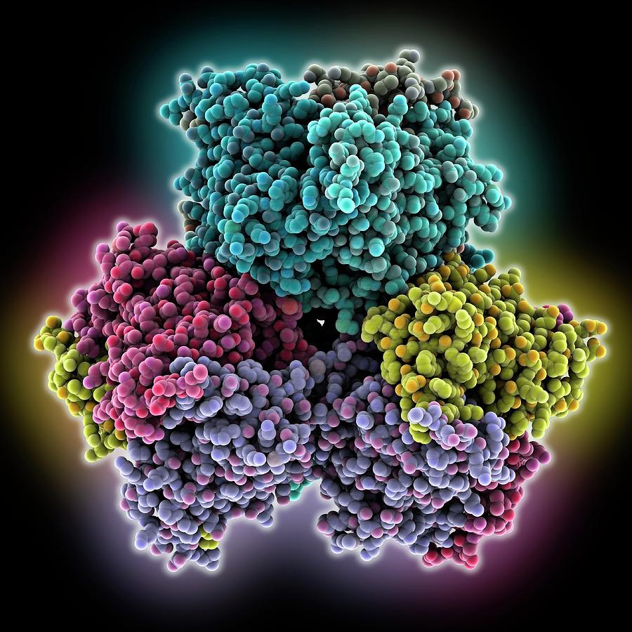 Engineered Self Assembling Protein Molecule Photograph By Laguna Design Science Photo Library