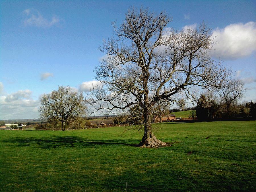 The green and pleasant land