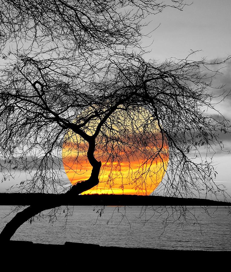 Photographs Photograph - English Bay Sunset by Brian Chase Photographs Photograph - English Bay Sunset by Brian Chase