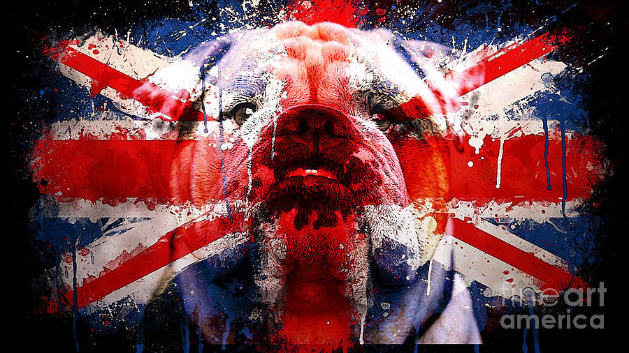 English Bull Dog Mixed Media by Marvin Blaine