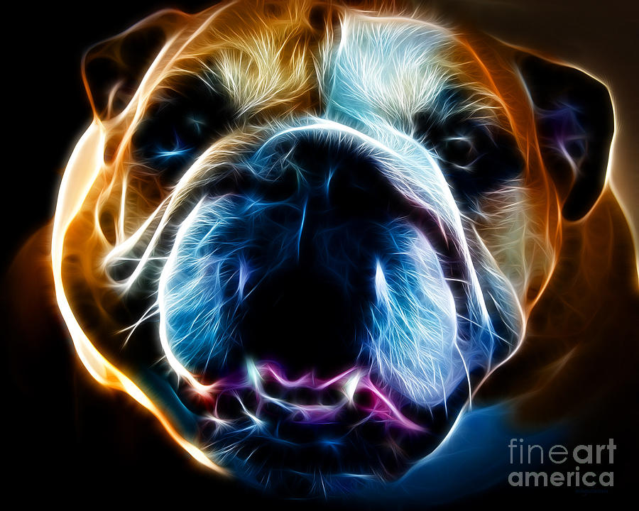 English Bulldog - Electric Photograph by Wingsdomain Art and Photography