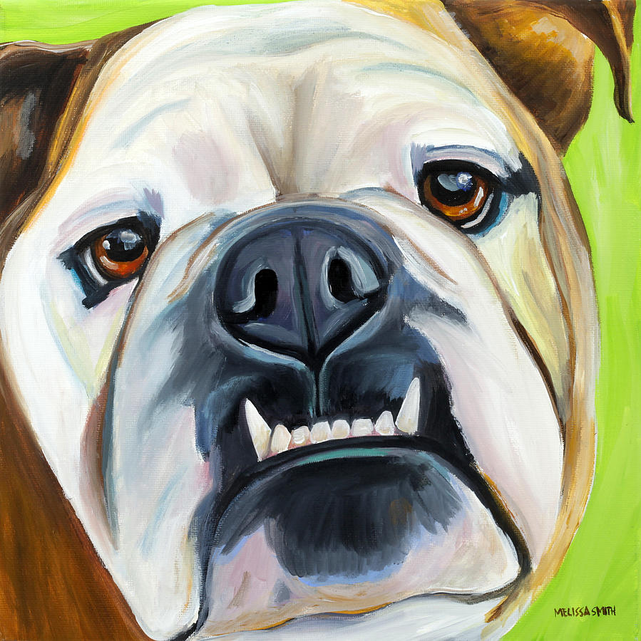English Bulldog Painting - English Bulldog by Melissa Smith