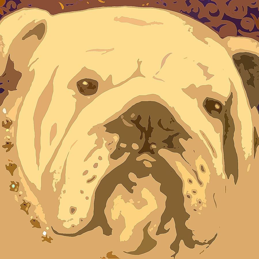 English Bully Painting by Holly Picano