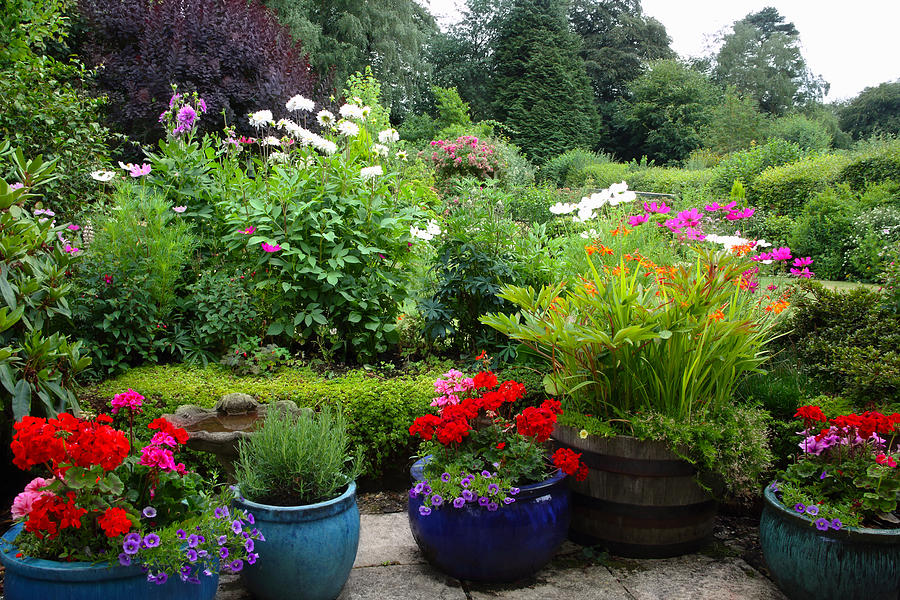 English Country garden on overcast summers day. Photograph by Rosemary Calvert