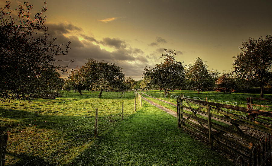 English Countryside Photograph by A Goncalves