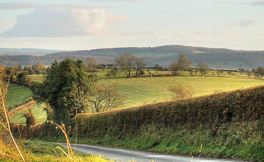 English Countryside in Early Winter by Sarah Broadmeadow-Thomas English Countryside in Early Winter by Sarah Broadmeadow-Thomas