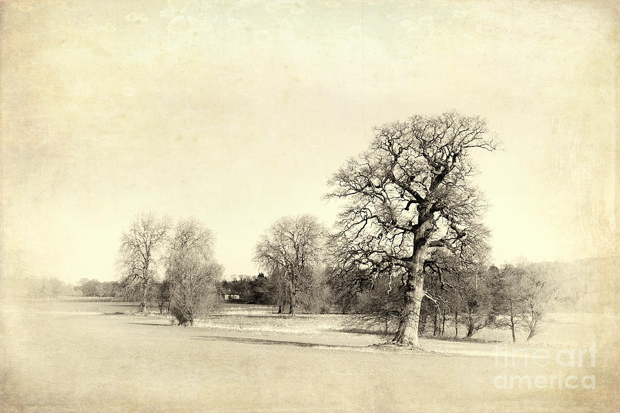 English countryside vintage Photograph by Jane Rix