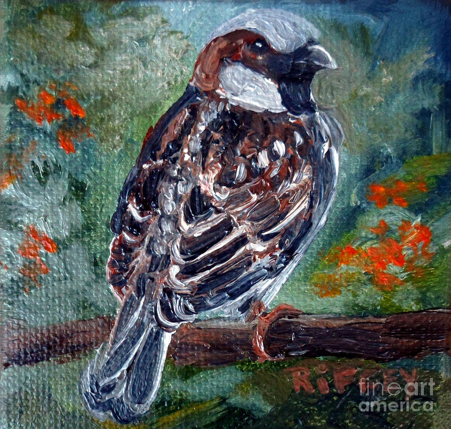 English House Sparrow Stare Painting by Julie Brugh Riffey