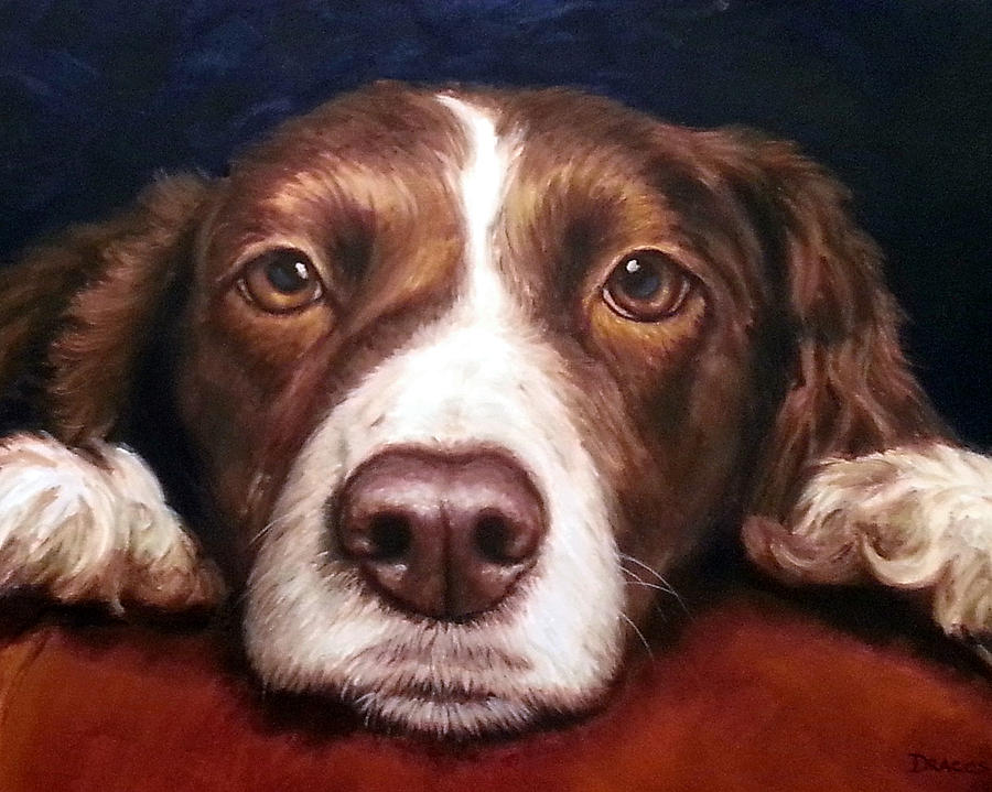 Dog Painting - English Springer Spaniel Resting on Dark Red by Dottie Dracos