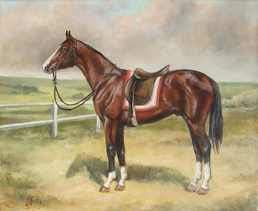 English stallion dark bay Painting by Irek Szelag