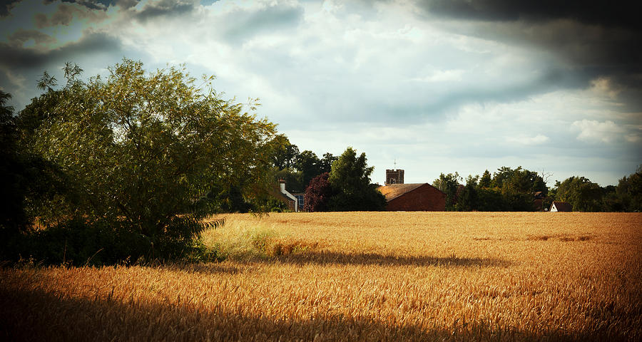 English Wheat field with Village Photograph by Chris Clark
