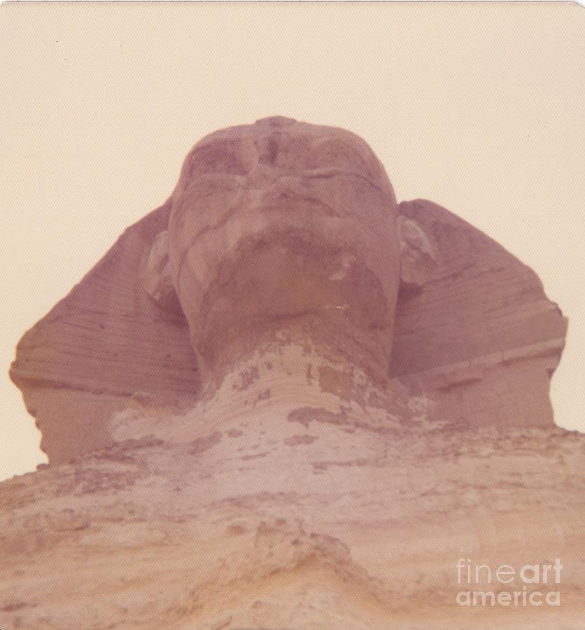 Enigmatic Sphinx  Photograph by Steven  Pipella