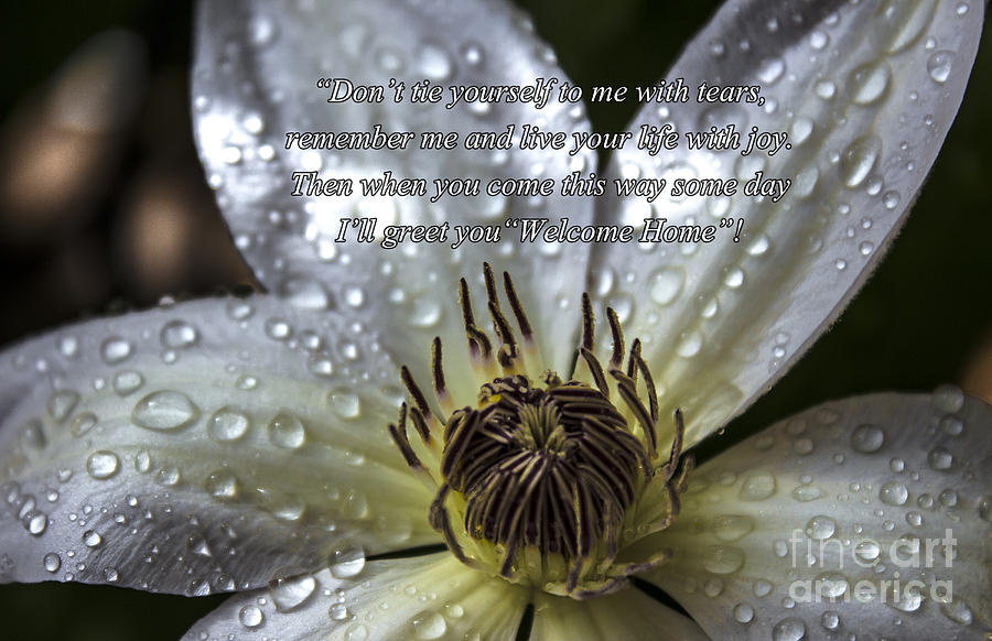 Enjoy Life Inspirational Clematis Photograph by Ginette Callaway
