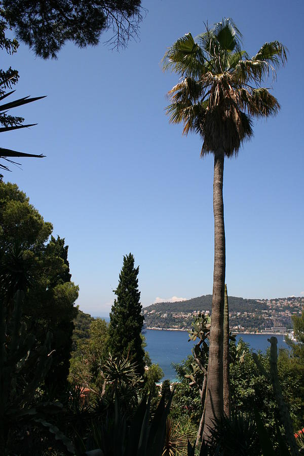 Enjoy The Day - Mediterranean Sea Photograph by Christiane Schulze Art ...