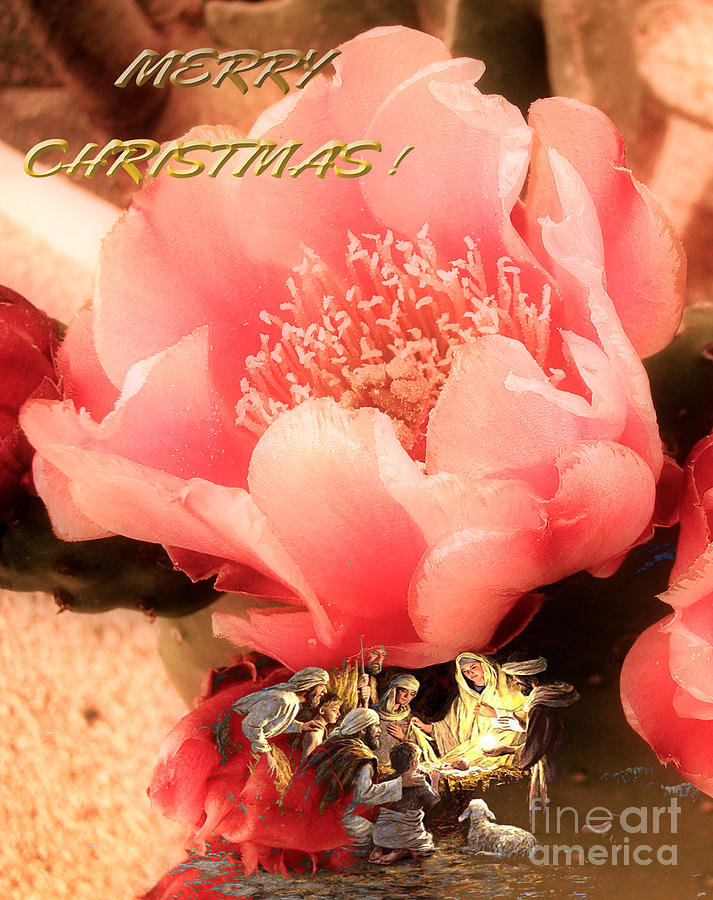 Christmas Photograph - Enjoy the Reason for the Season by Beverly Guilliams