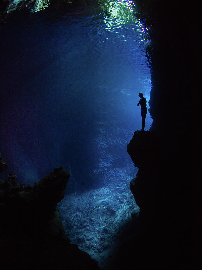 Underwater Photograph - Enjoy The Silence by Erez Beatus