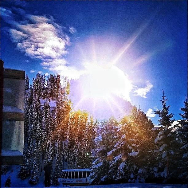 Winter Photograph - Enjoy The Sun, Feel The by Amar Geddon