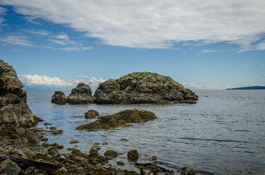 Enjoy the View Nanaimo Shoreline Photograph by Roxy Hurtubise