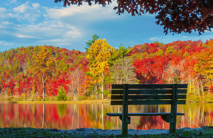 Fall Photograph - Enjoy the View by Lynn Bauer