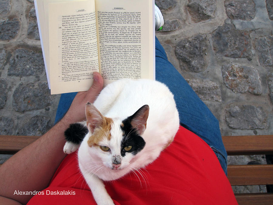 Enjoying Reading Photograph by Alexandros Daskalakis