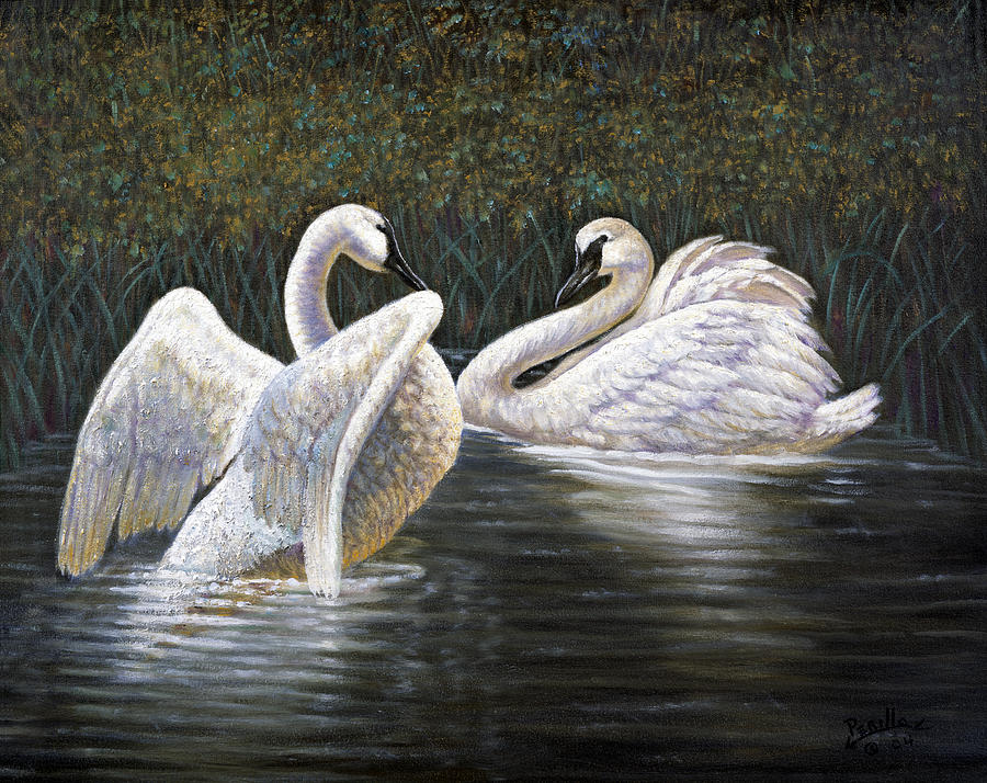 Nature Painting - Enjoying the Trumpeter Swans by Gregory Perillo