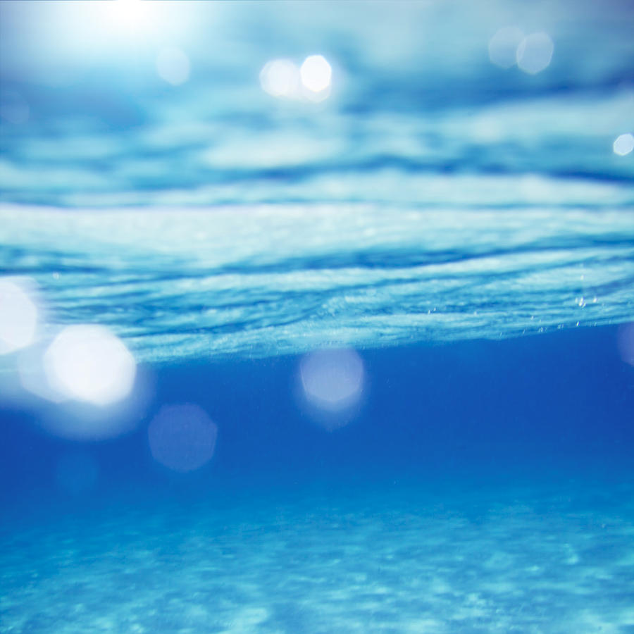 Enjoying The Underwater Mediterranean Photograph by Caracterdesign