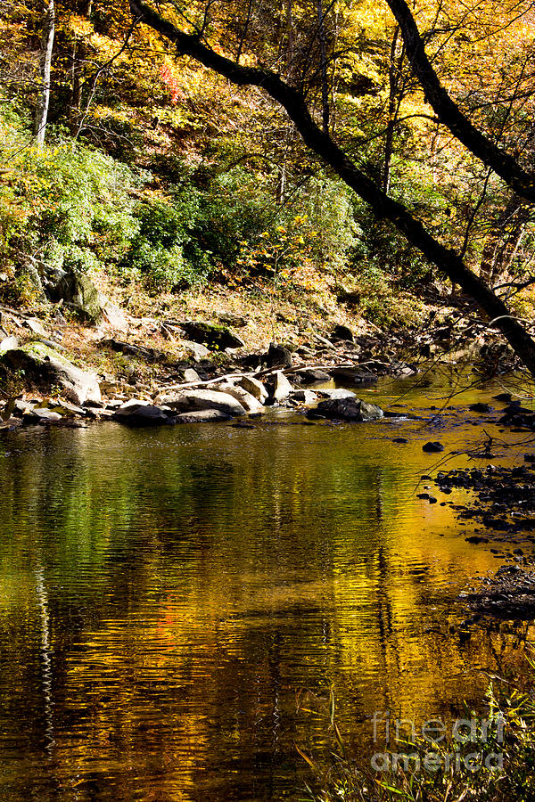 Eno River in the Fall 1 Photograph by Sandra Clark