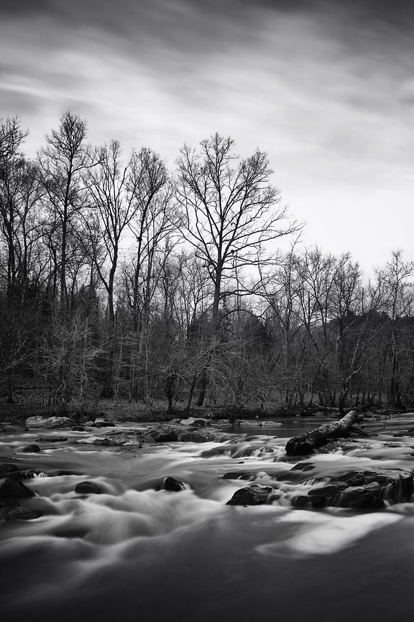 Eno River Portrait Photograph by Ben Shields