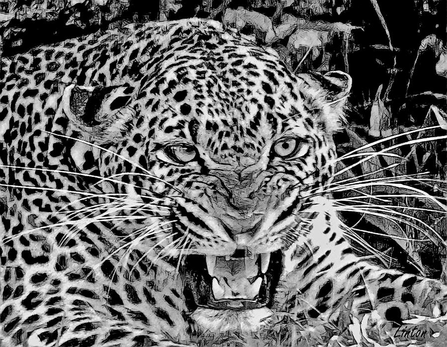 Enraged Leopard Digital Art by Larry Linton