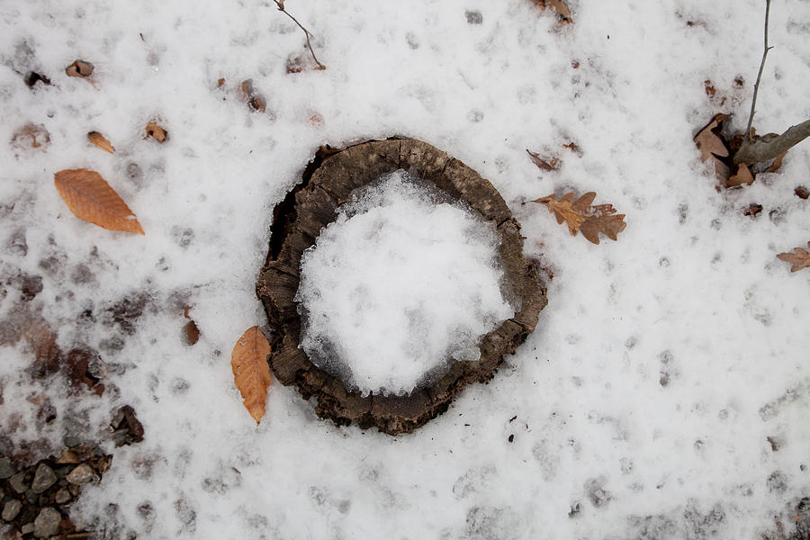 Enso in snow Photograph by W Chris Fooshee
